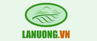 Khuyến mại Lanuong